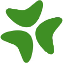  Bloomerang